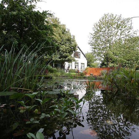 De Witte Wolk Bed & Breakfast Nieuw-Scheemda Exterior photo