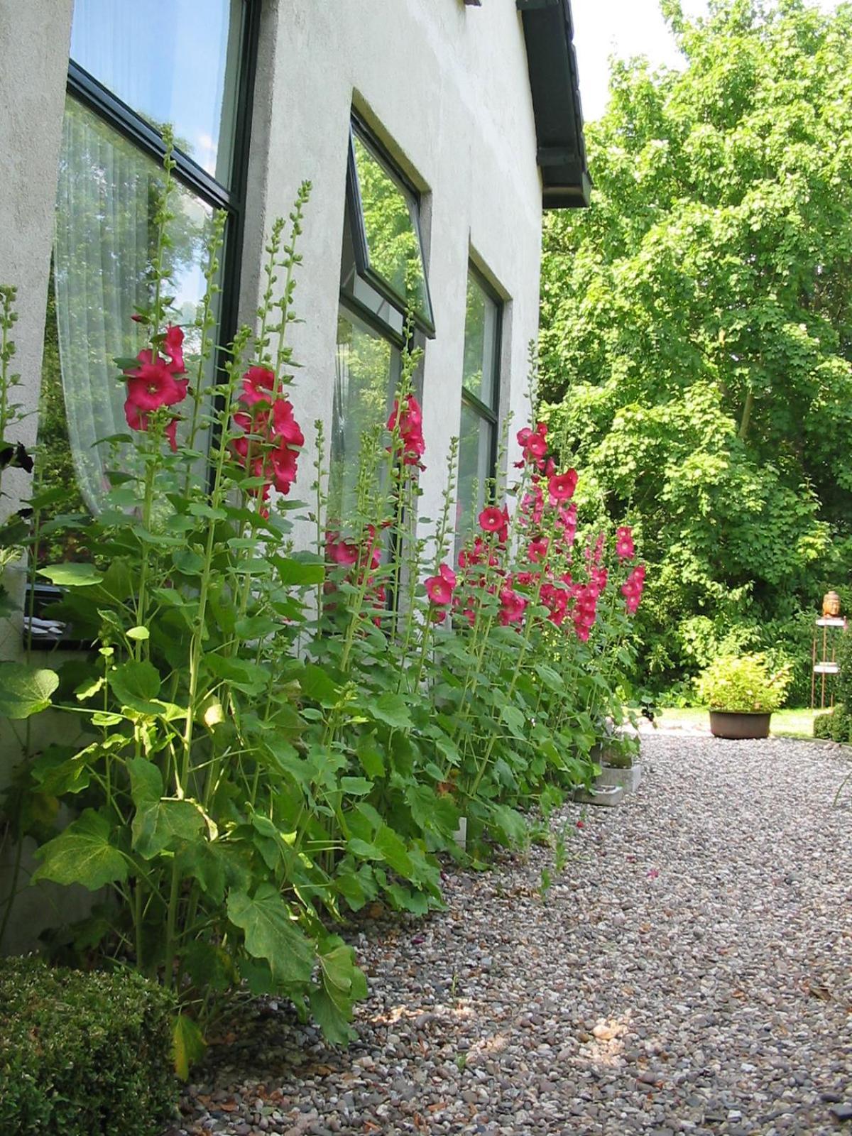 De Witte Wolk Bed & Breakfast Nieuw-Scheemda Exterior photo